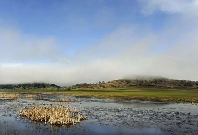 Oregon William L. Finley NWR Scene