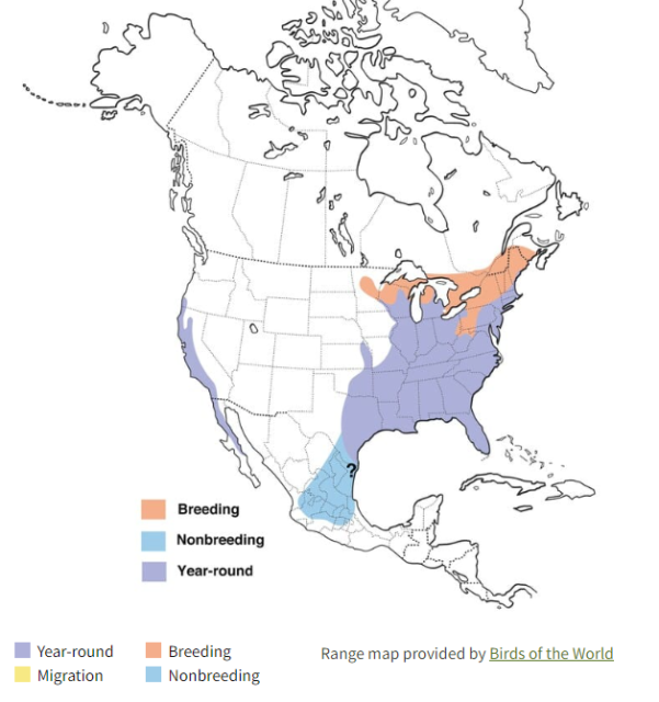 Red-shouldered Hawk Range Map