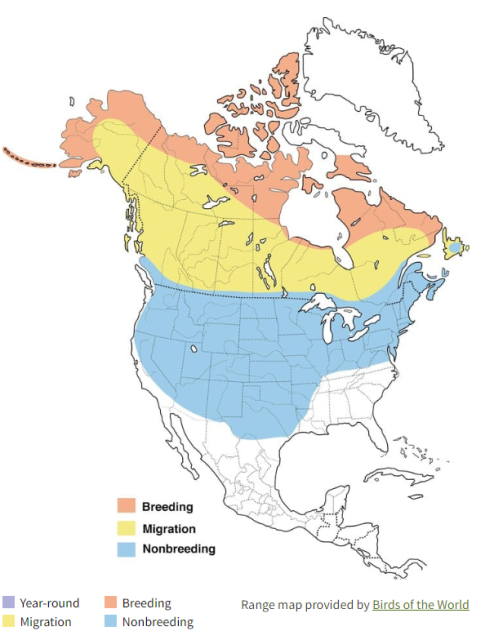 Rough-legged Hawk Range Map