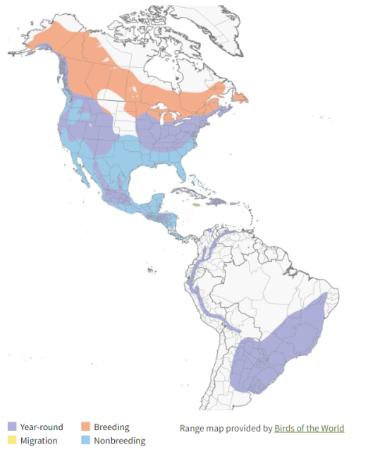Sharp-shinned Hawk Range Map