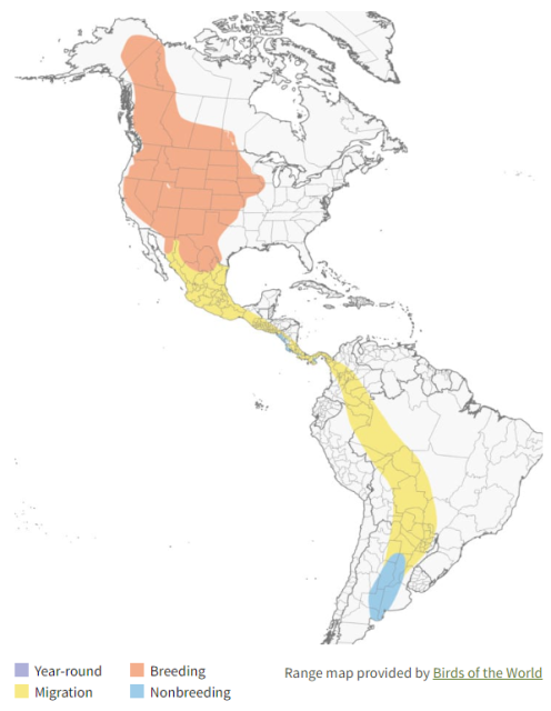 Swainson's Hawk Range Map