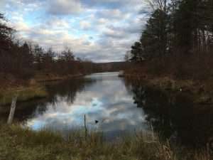 West Virginia Fairfax Pond-Rehe WMA Scene
