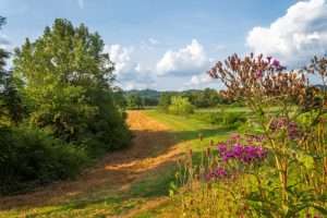 West Virginia Greenbottom WMA Scene