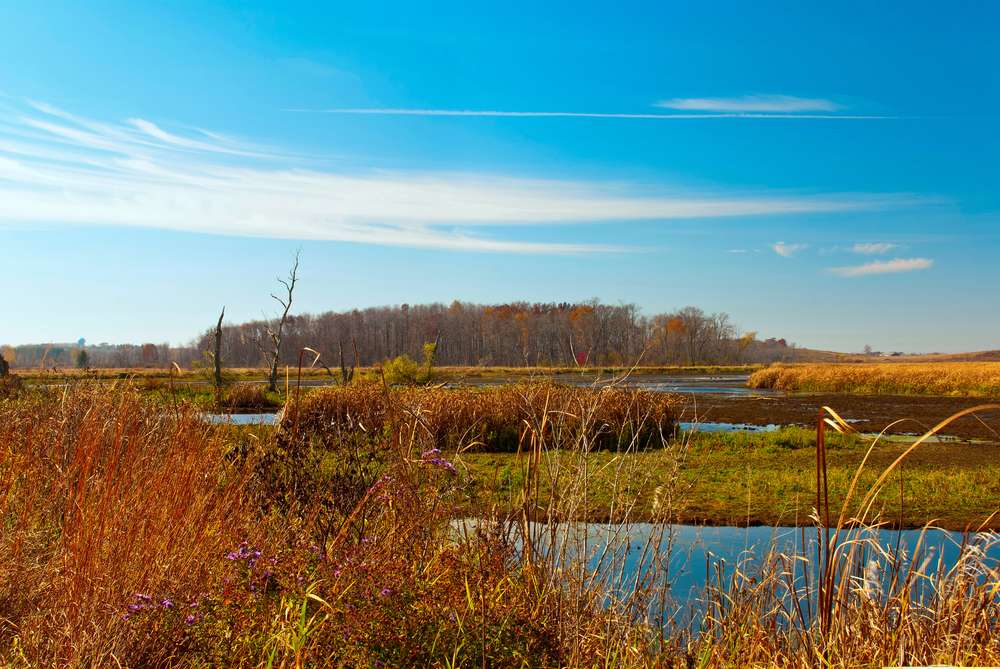 Wisconsin Horicon Reserve Scene