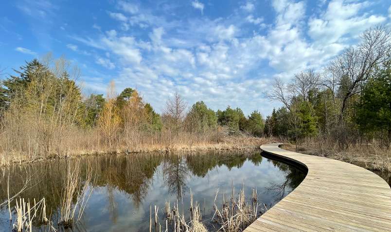 Wisconsin Schlitz Audubon Nature Center Scene