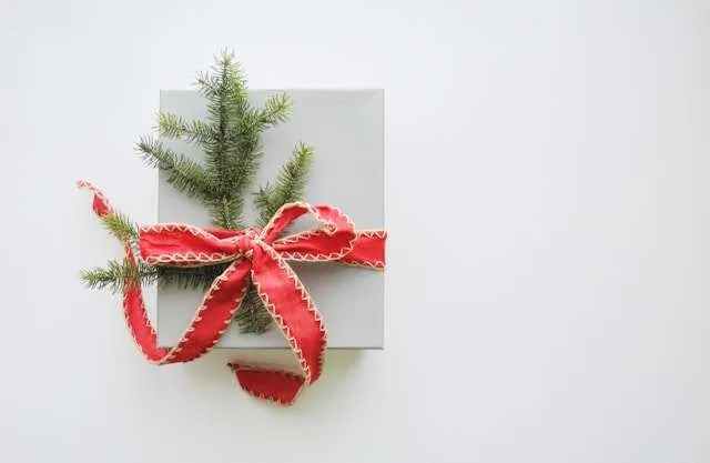 A white box with a red ribbon and piece of fir.