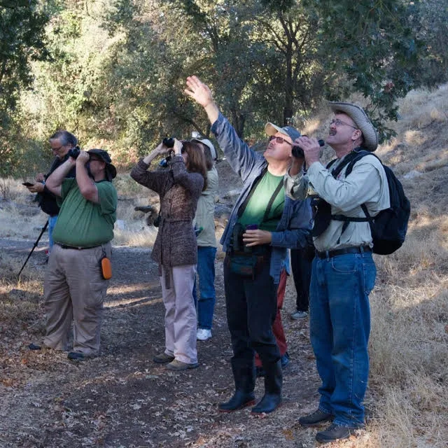 Group of Bird Watchers