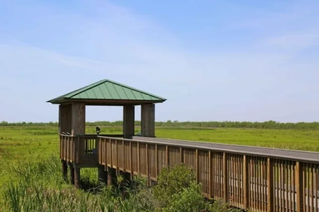 Louisiana Cameron Prairie NWR Scene