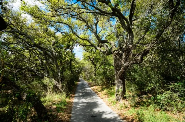 Louisiana Grand Isle Scene