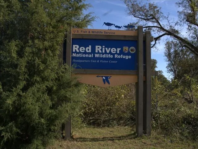 Louisiana Red River National Wildlife Refuge Scene