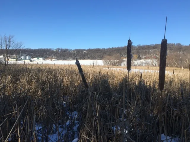 Minnesota Izaak Walton Wetlands Scene