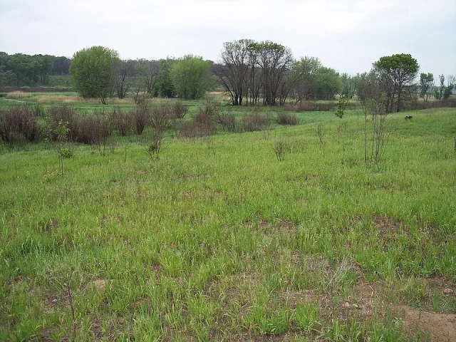 Minnesota Sherburne NWR Scene