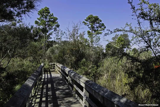 Mississippi Ansley Preserve Map Scene