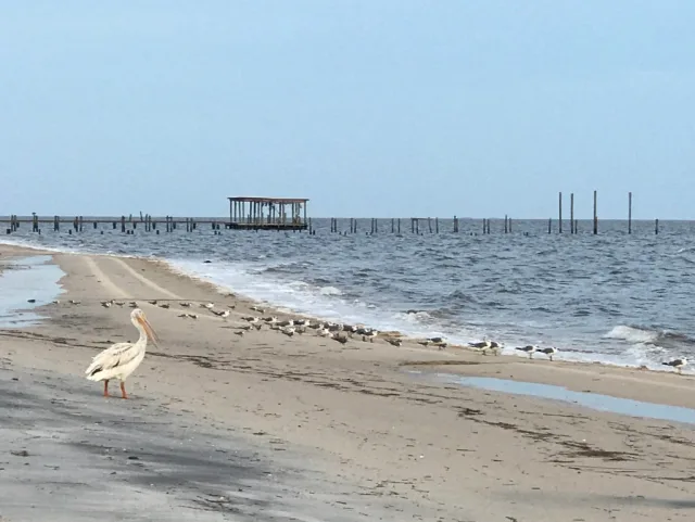 Mississippi Bellefontaine Beach Scene