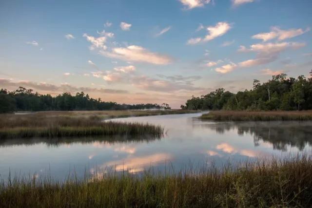 Mississippi Davis Bayou Scene