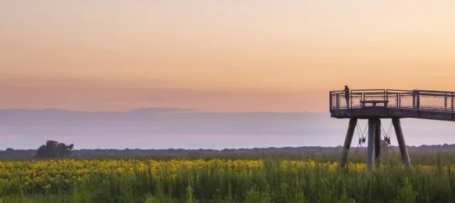 Missouri Columbia Bottoms Conservation Area Scene