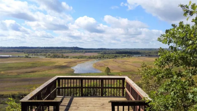 Missouri Eagle Bluffs Conservation Area Scene