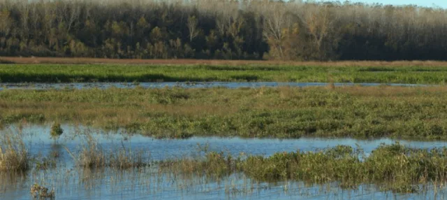 Missouri Fountain Grove Conservation Area Scene