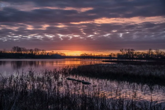 Missouri Riverlands Migratory Bird Sanctuary Scene