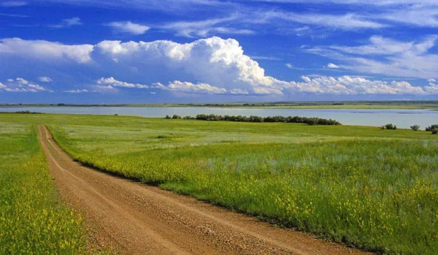 Montana Bowdoin NWR Scene
