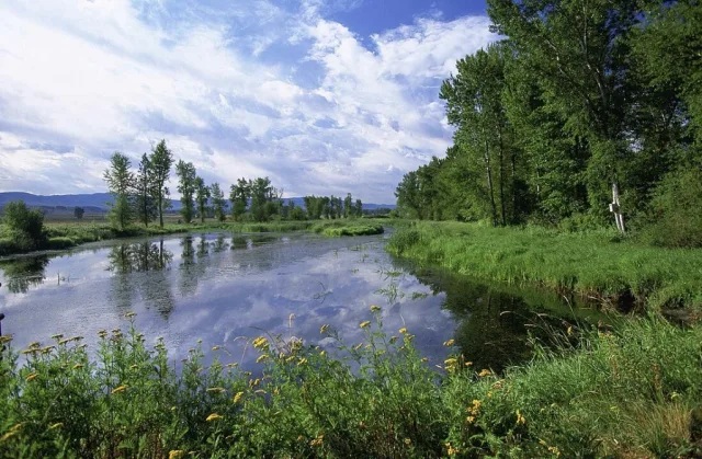 Montana Lee Metcalf NWR Scene