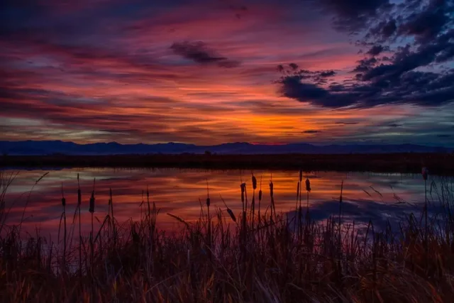 Montana Ninepipe NWR Scene