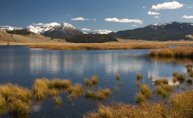 Montana Red Rock Lakes National Wildlife Refuge Scene