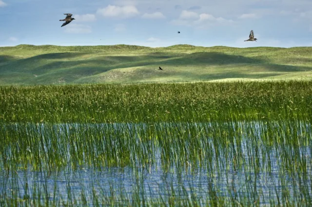 Nebraska Crescent Lake National Wildlife Refuge Scene