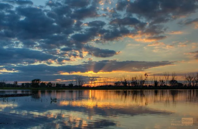 Nebraska DeSoto National Wildlife Refuge Scene