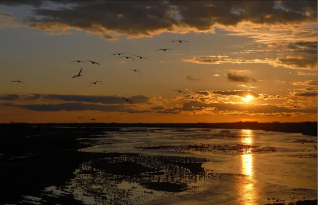 Nebraska Rowe Sanctuary Scene