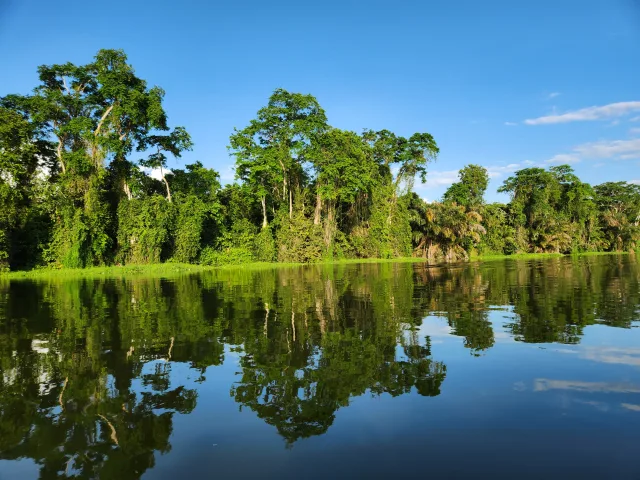 Blue water lined with bright green trees reflecting in the water.