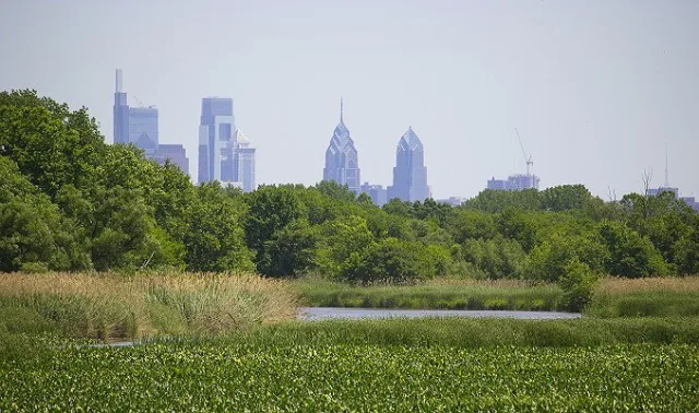 Pennsylvania John Heinz NWR Scene