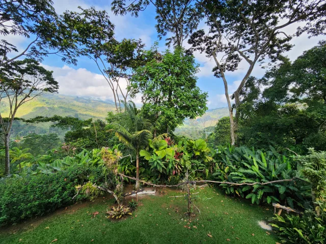 Small garden with green rolling hills in the background.