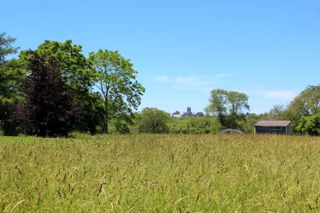Rhode Island Norman Bird Sanctuary Scene