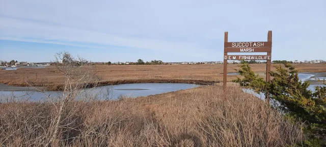 Rhode Island Succotash Marsh Scene