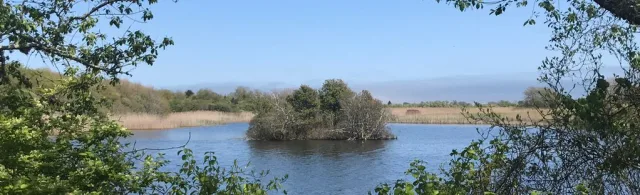 Rhode Island Trustom Pond NWR Scene
