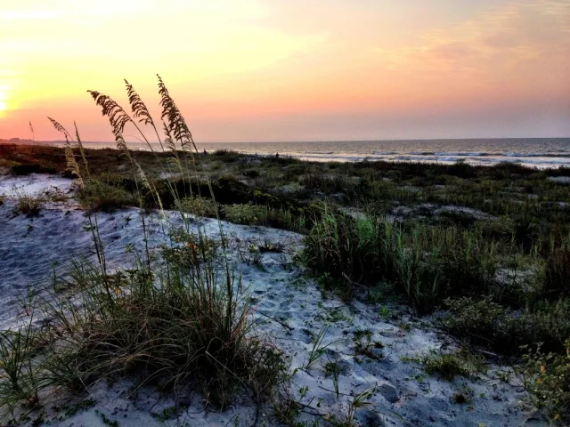 South Carolina East Kiawah Island Scene