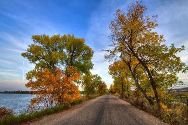 South Dakota Farm Island Scene