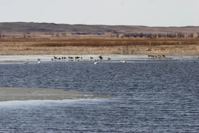 South Dakota Lacreek NWR Scene