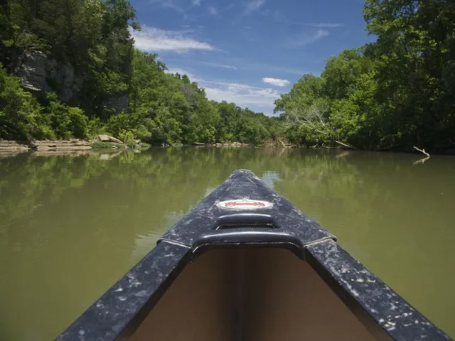 Tennessee Duck River Unit Scene