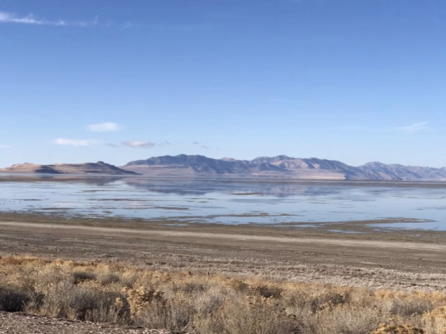 Utah Antelope Island State Park Scene