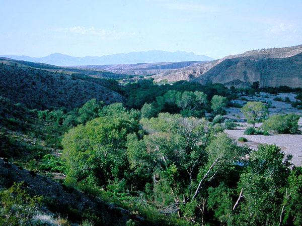 Utah Lytle Ranch Preserve Scene