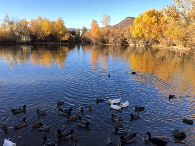 Utah Tonaquint Nature Center Scene