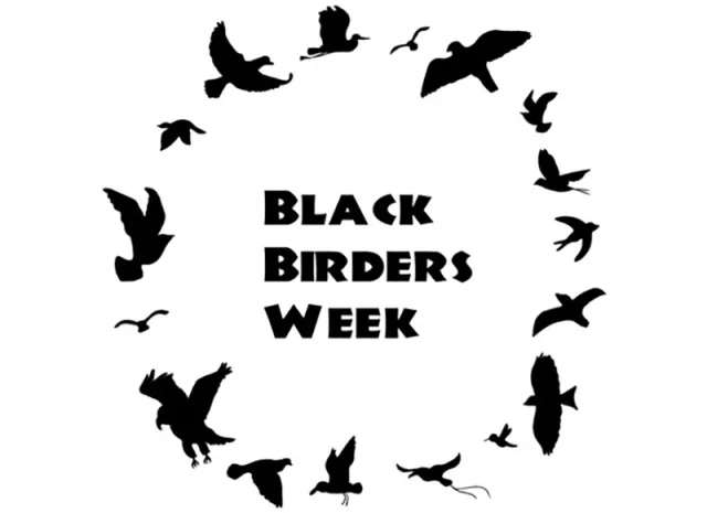Black Birders Week Logo