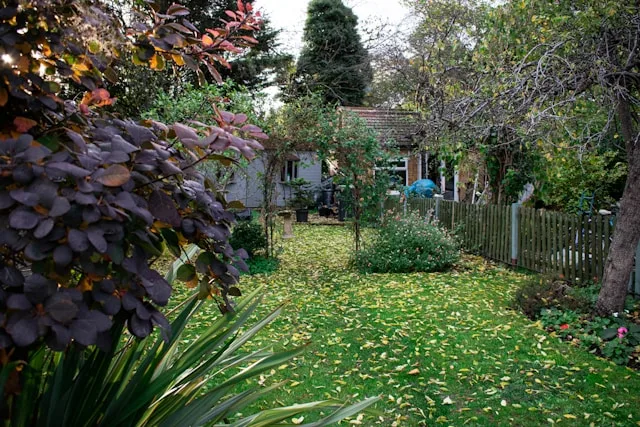 garden