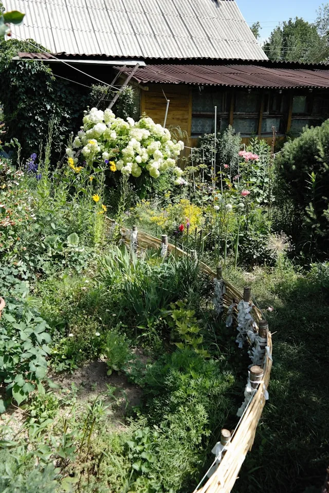 Messy native garden