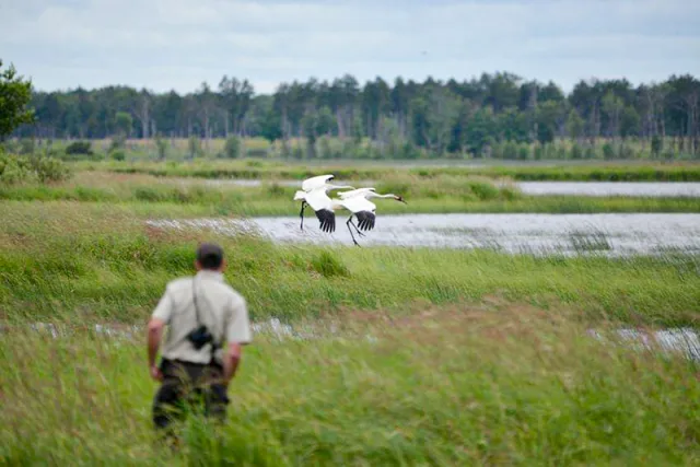 Alabama Wheeler National Wildlife Refuge Scene