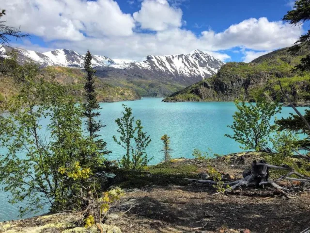 Alaska Kenai National Wildlife Refuge Scene