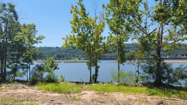 Arkansas Cook's Landing Scene