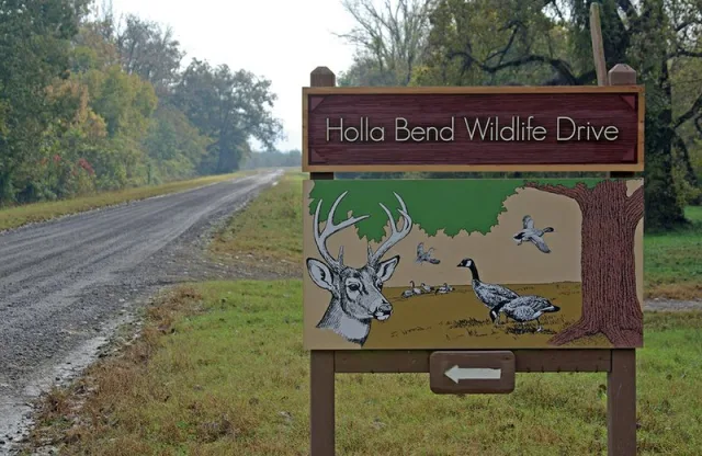 Arkansas Holla Bend NWR Scene